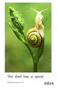 Spirals,Spirals Everywhere绘本故事第5页