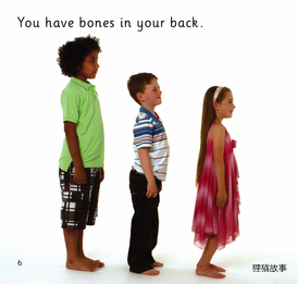 Bones绘本故事第5页