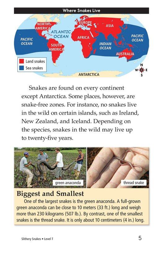 Slithery Snakes绘本故事第4页