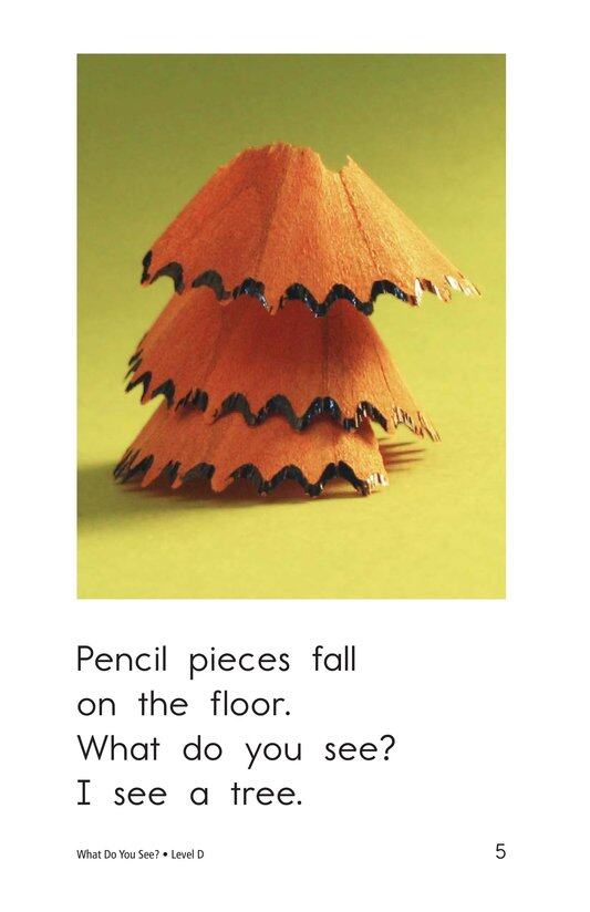 What Do You See绘本故事第5页