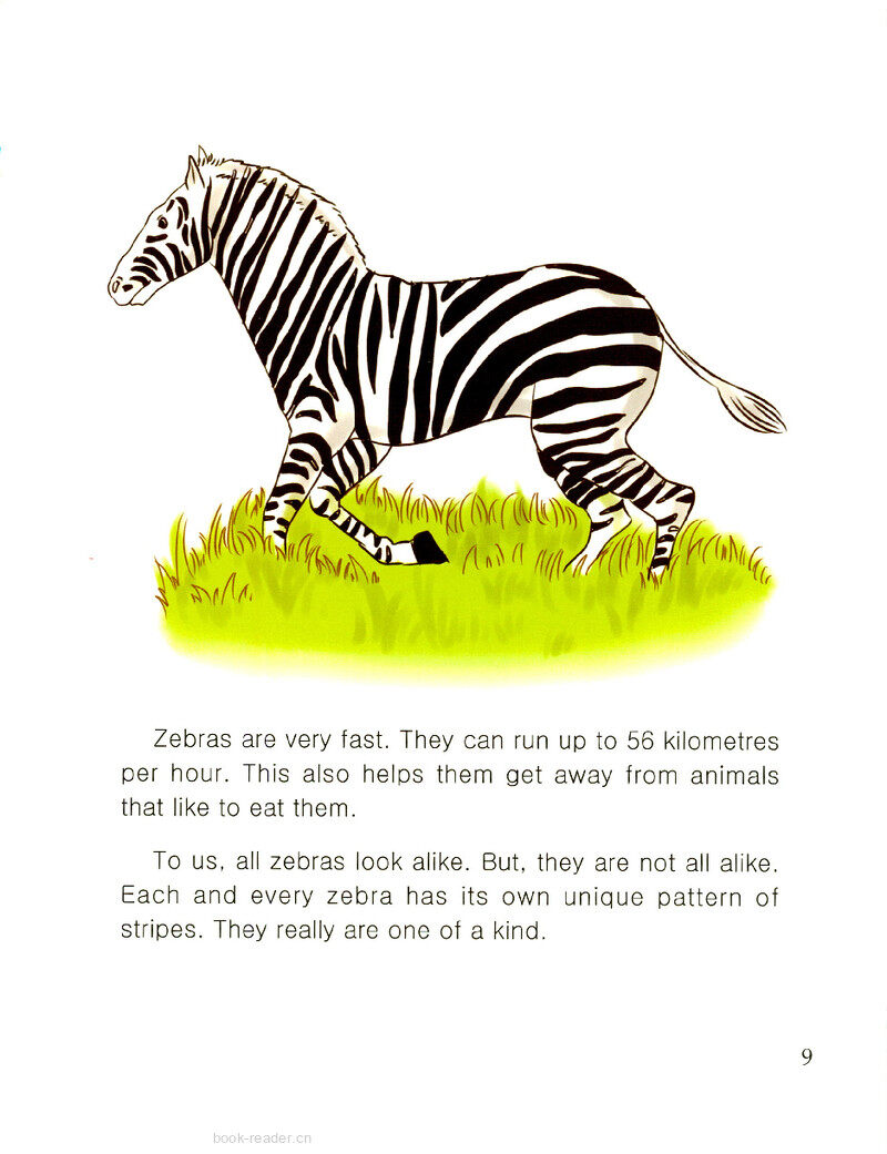 Zebras绘本故事第3页