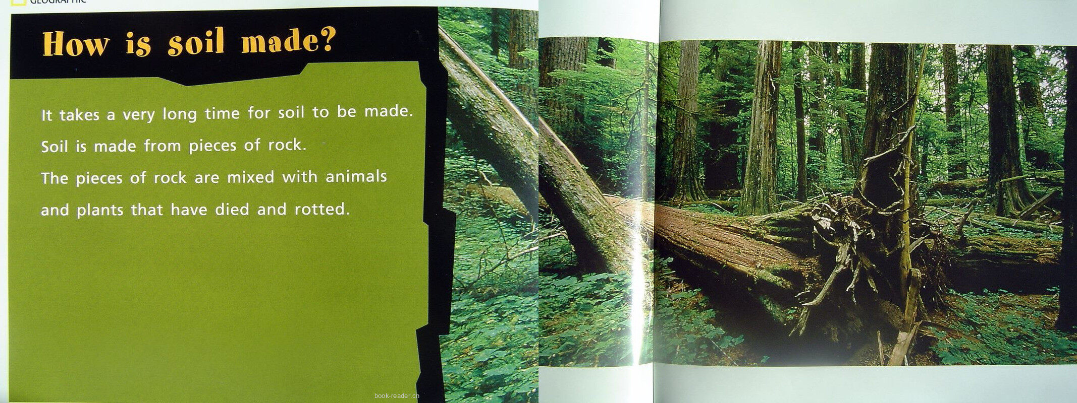 soil绘本故事第4页