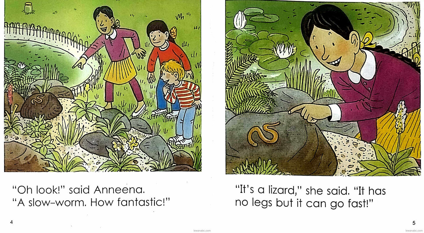 The Minibeast Zoo绘本故事第5页