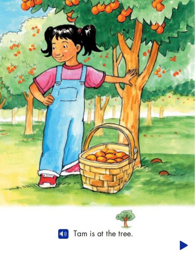 Tam and Sam in the Orange Grove绘本故事第4页