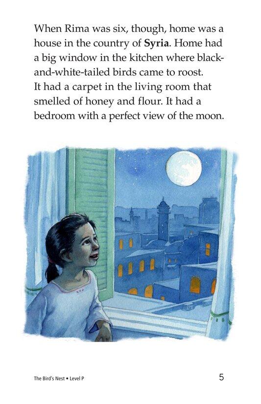 The Bird's Nest绘本故事第5页