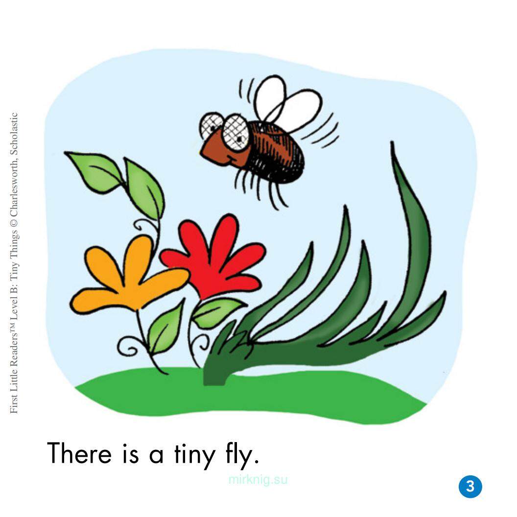 Tiny Things绘本故事第4页