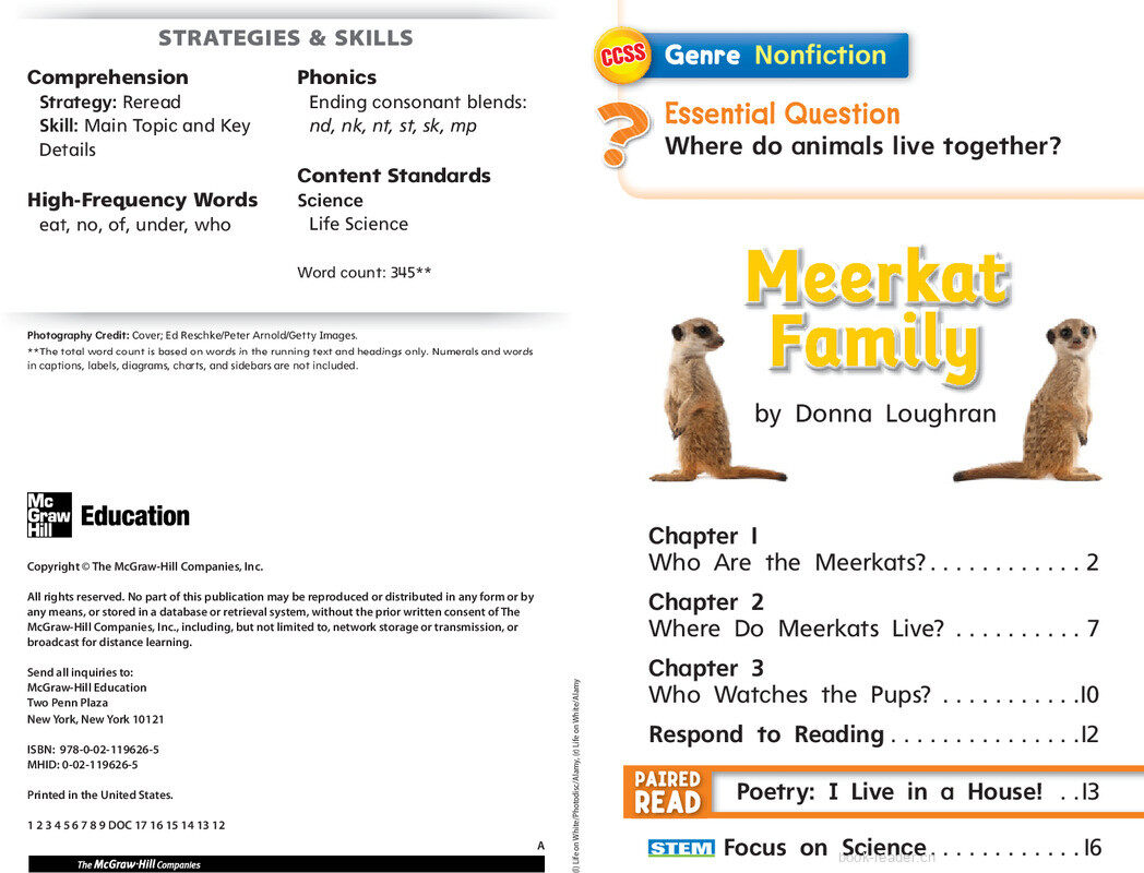 G1 Bey U2W3 Meerkat Family绘本故事第3页