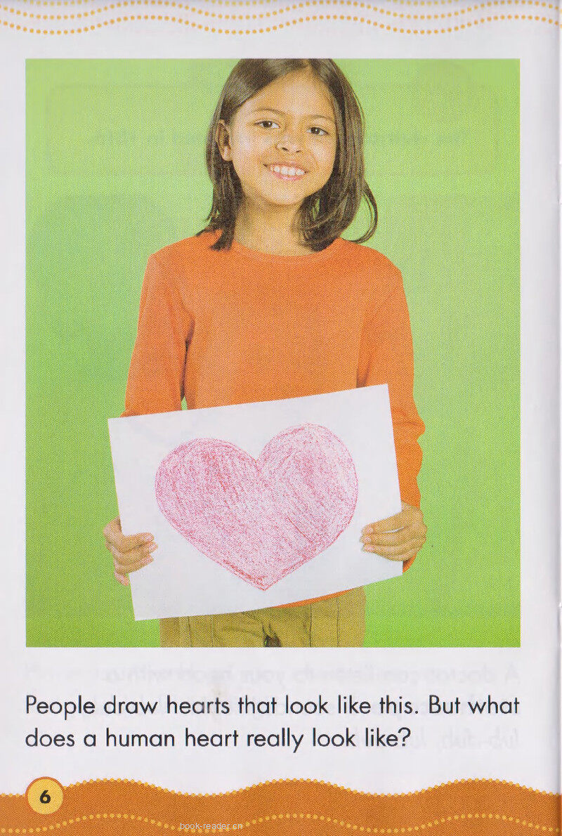 Your Heart绘本故事第5页