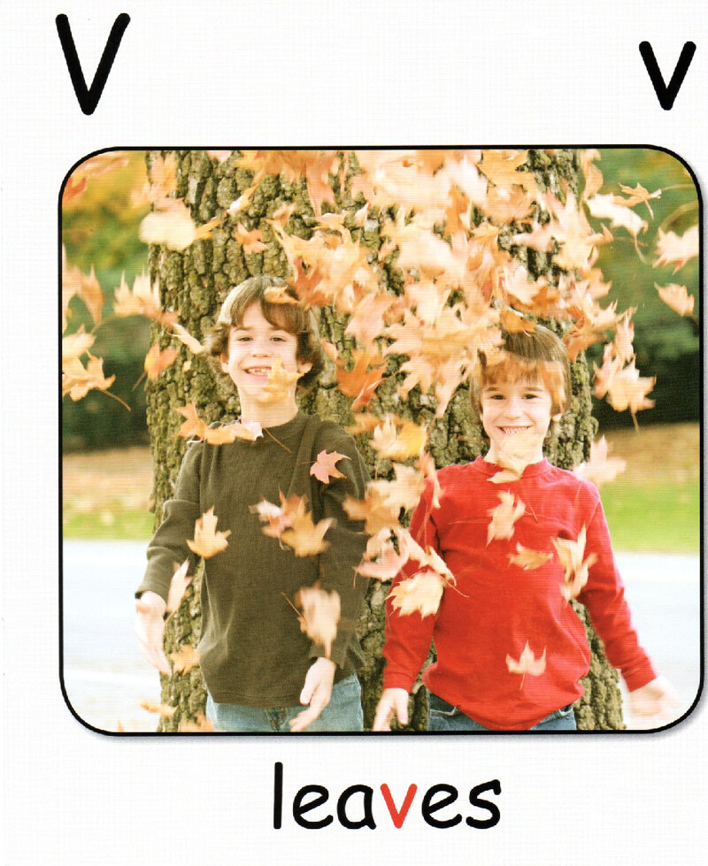 V绘本故事第5页