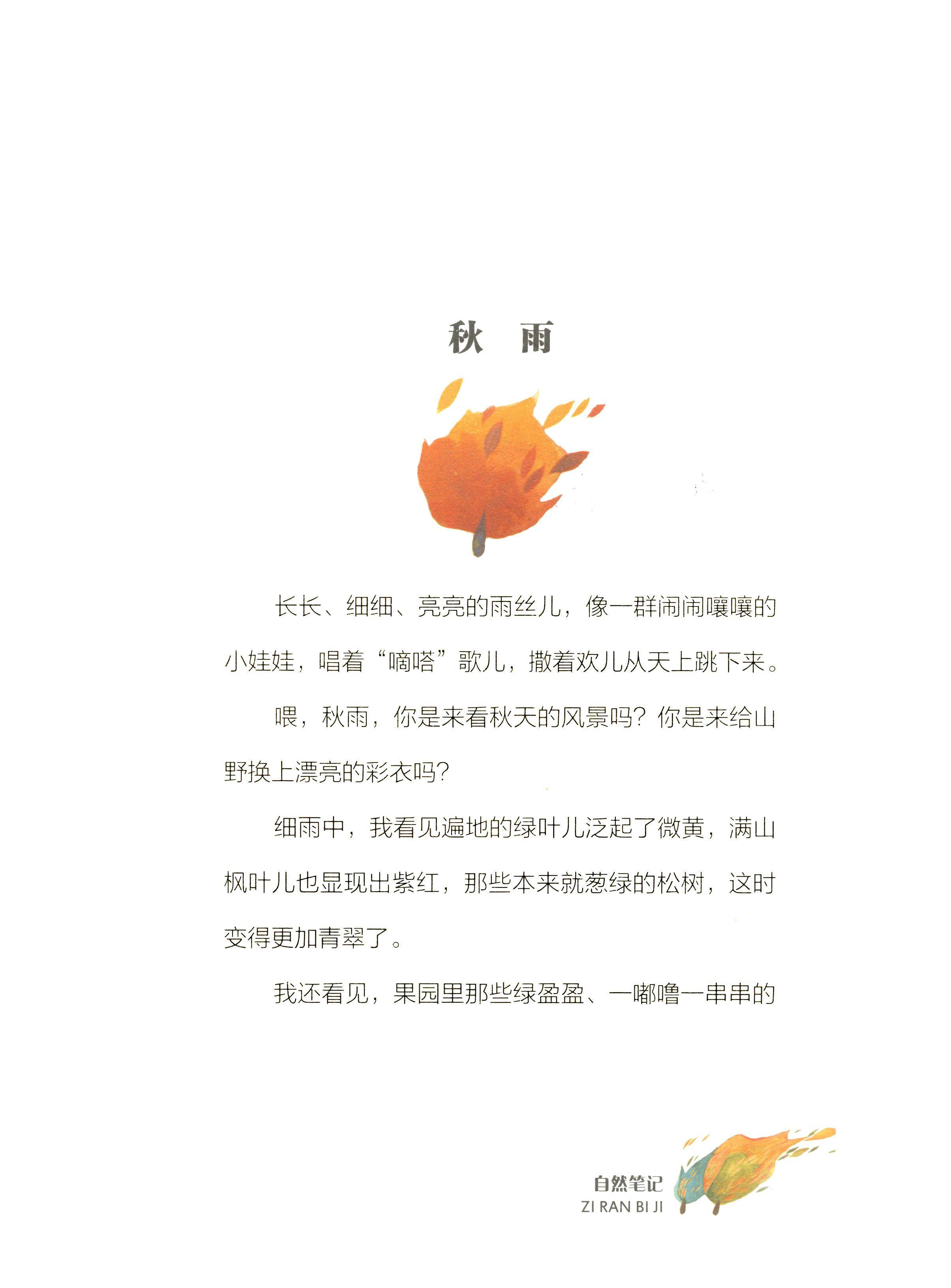 秋雨绘本故事第2页
