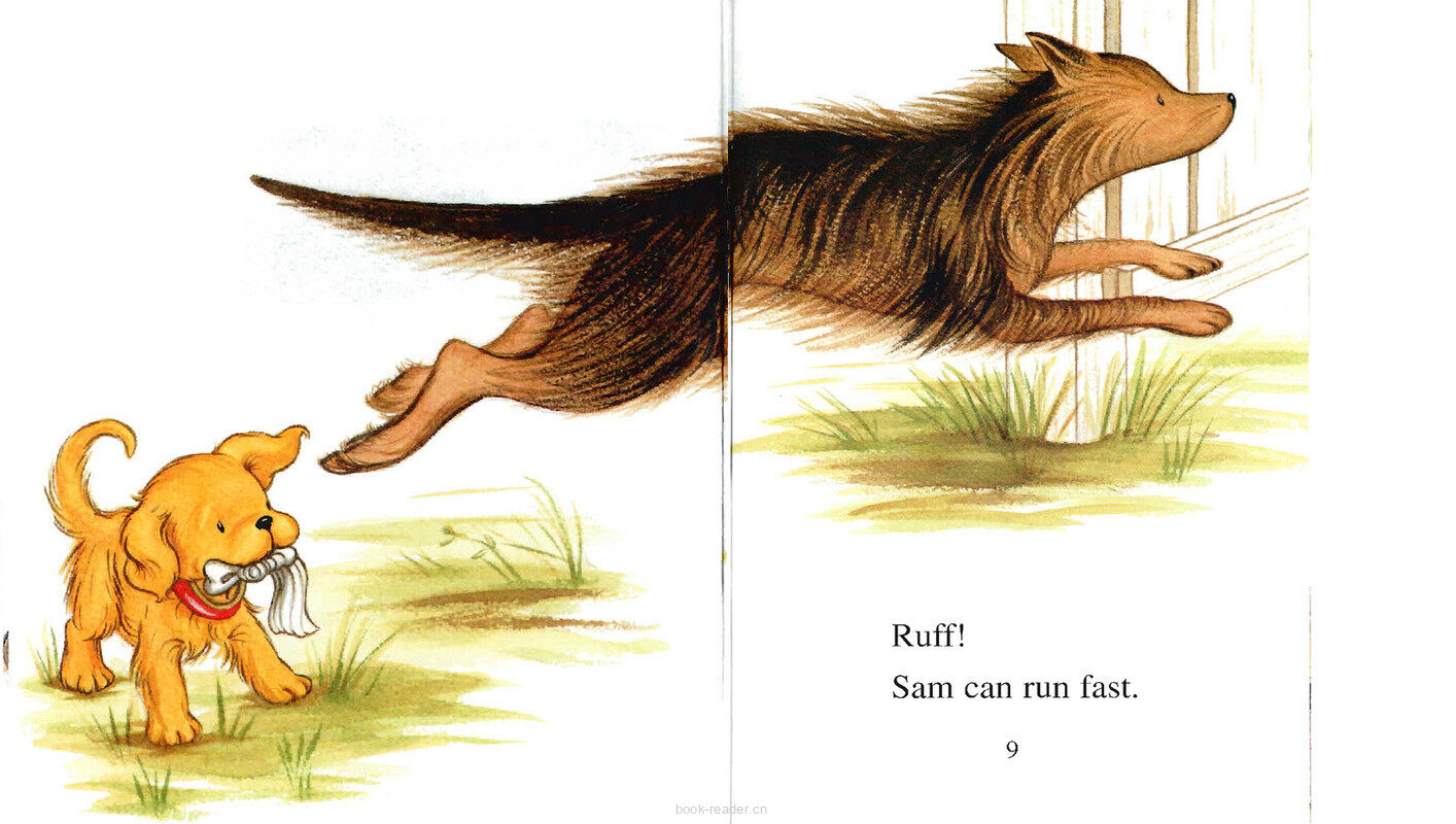 Biscuit’s Big Friend绘本故事第5页