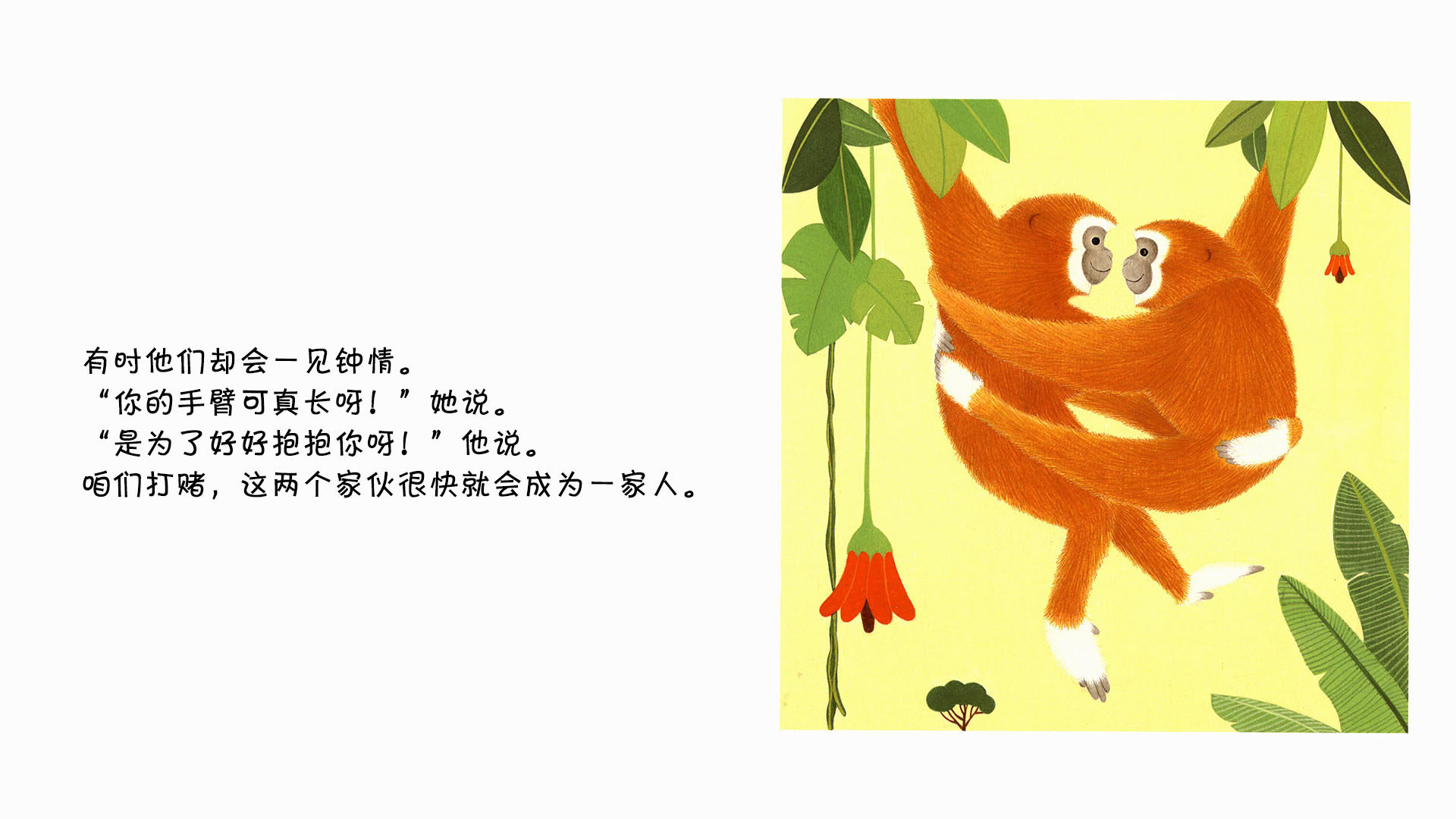 长臂猿绘本故事第5页