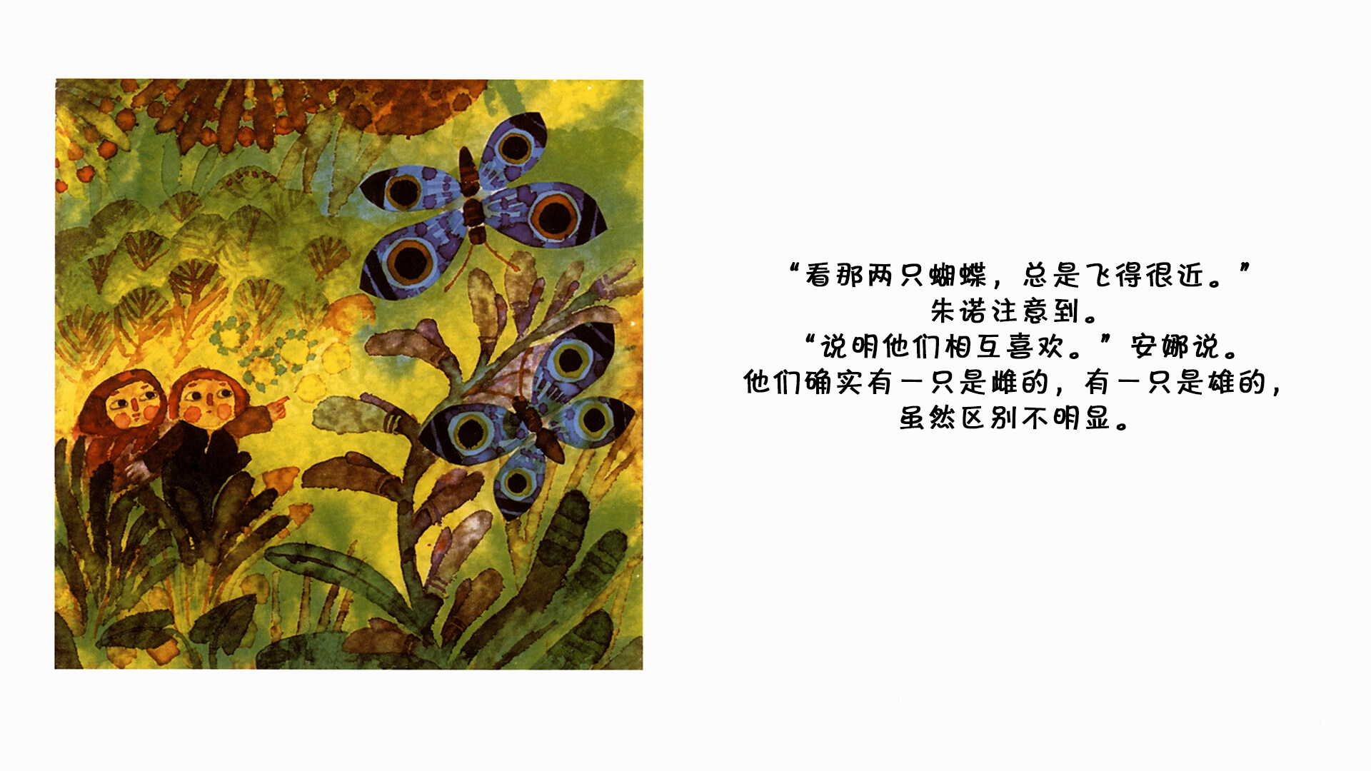 蝴蝶  绘本故事第4页