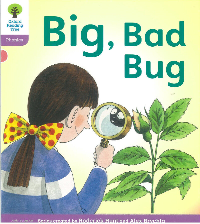 L1 Big, Bad Bug绘本故事第2页