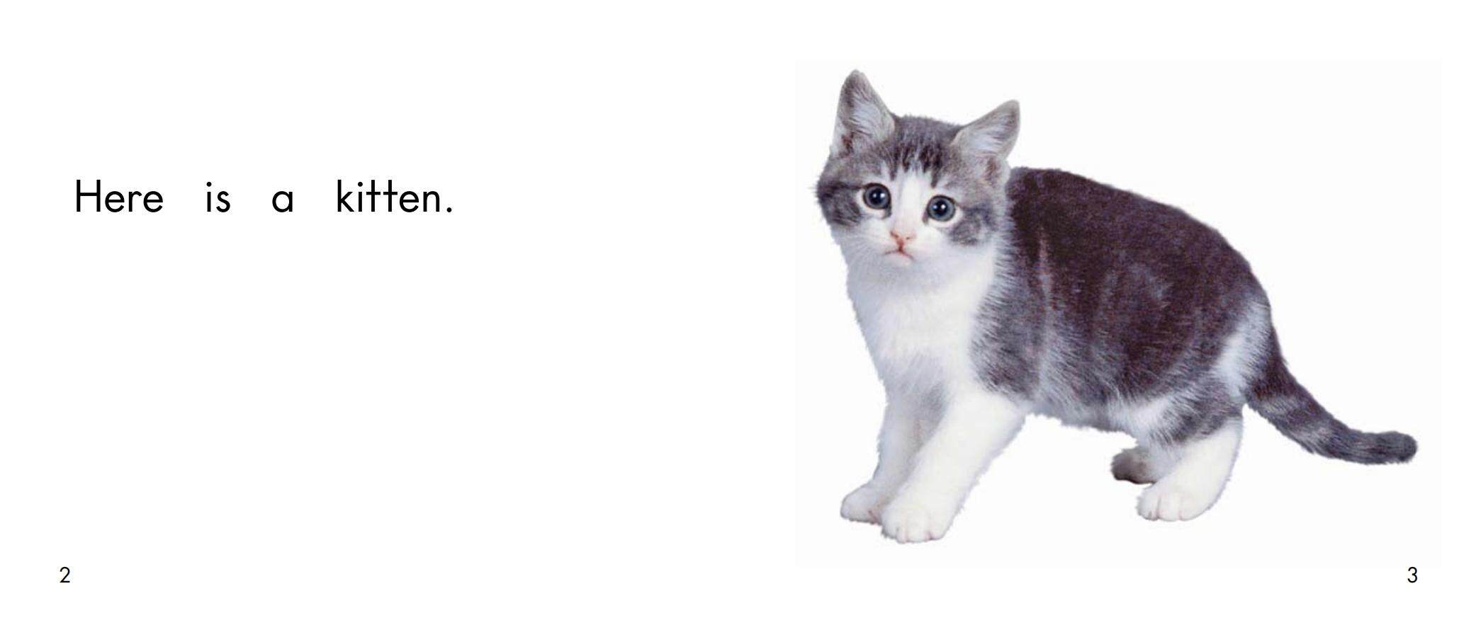 The pet store绘本故事第3页