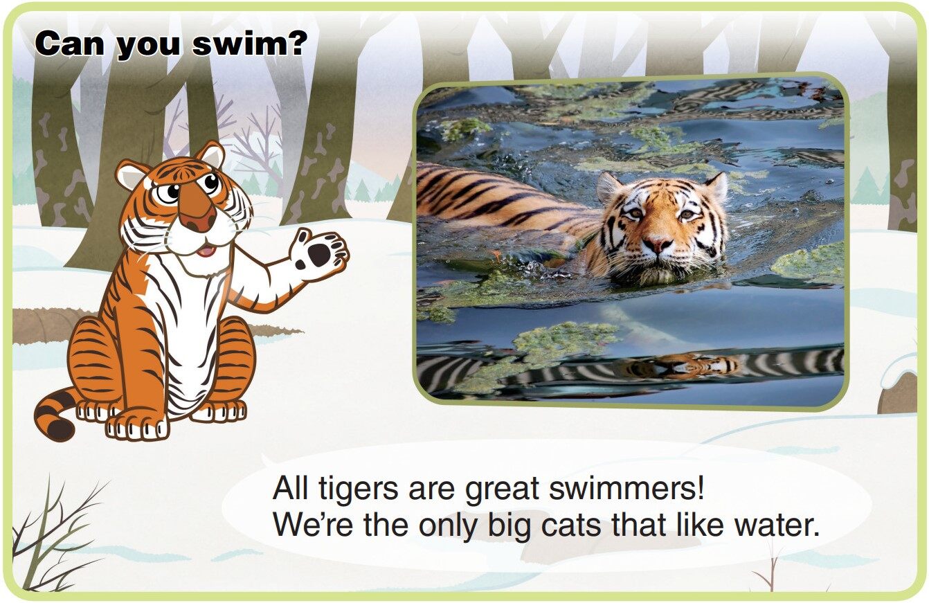 Siberian Tiger绘本故事第5页