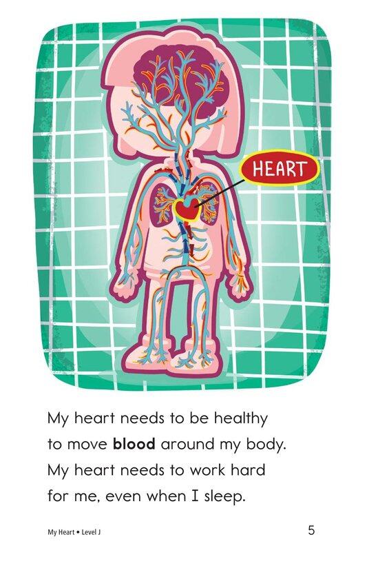 My Heart绘本故事第5页