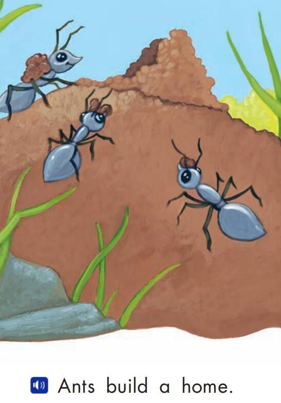 Ants and people绘本故事第4页