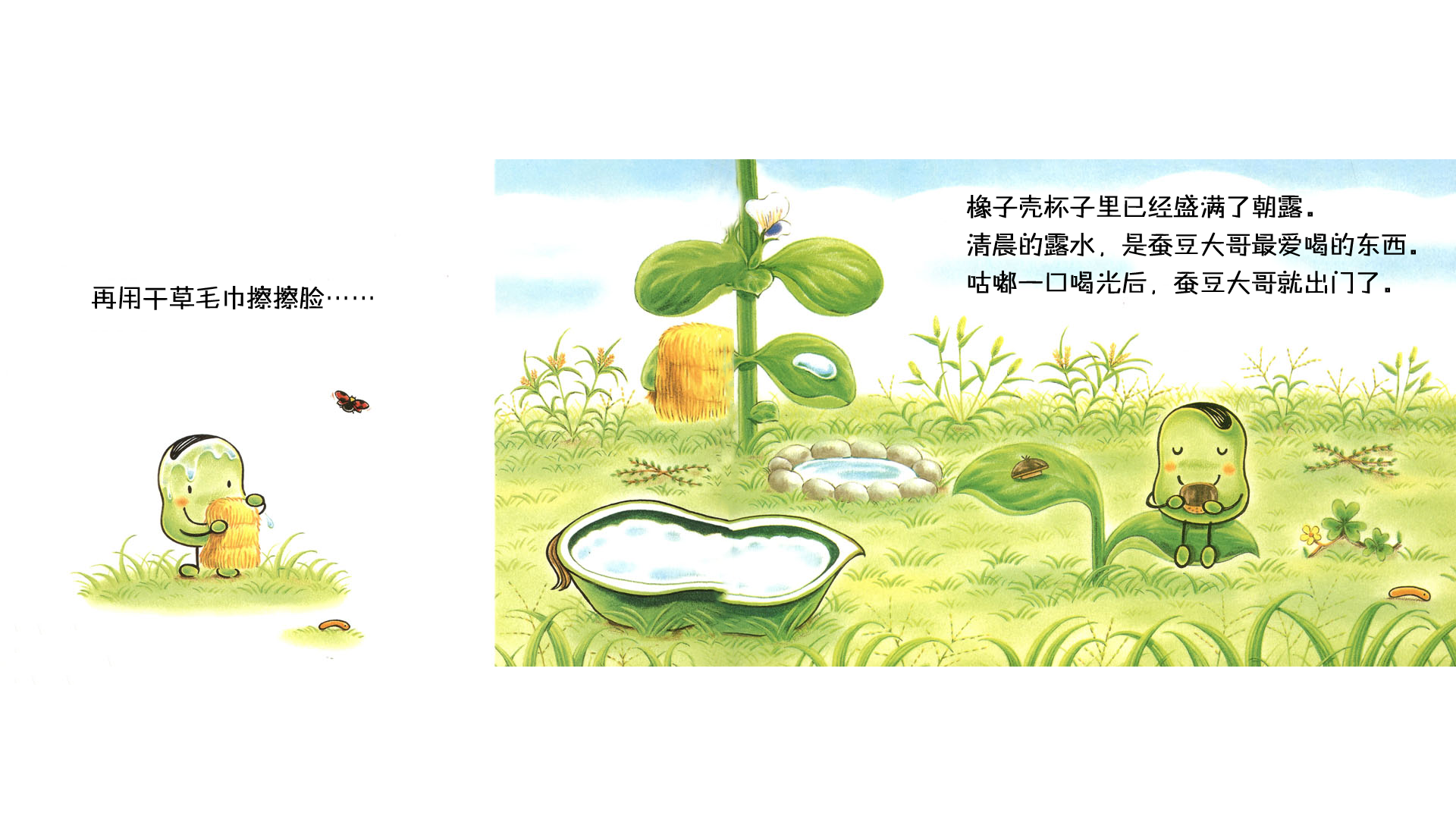蚕豆大哥和蒲公英绘本故事第5页