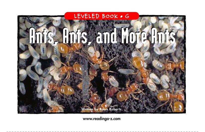 Ants,Ants,and More Ants绘本故事第2页