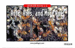 Ants,Ants,and More Ants绘本故事第2页