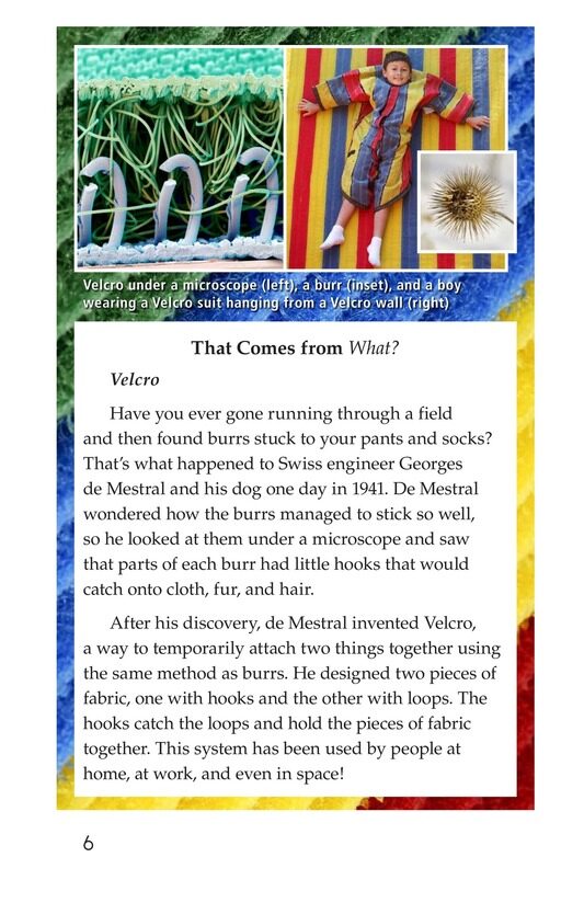 Biomimicry绘本故事第5页