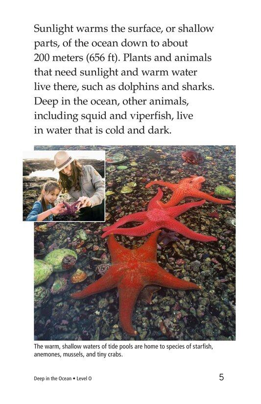 Deep in the Ocean绘本故事第4页