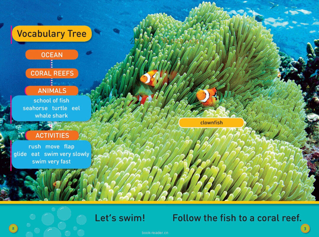 Swim Fish绘本故事第3页