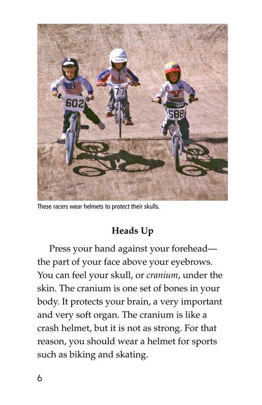 The Hard Stuff! All About Bones绘本故事第5页