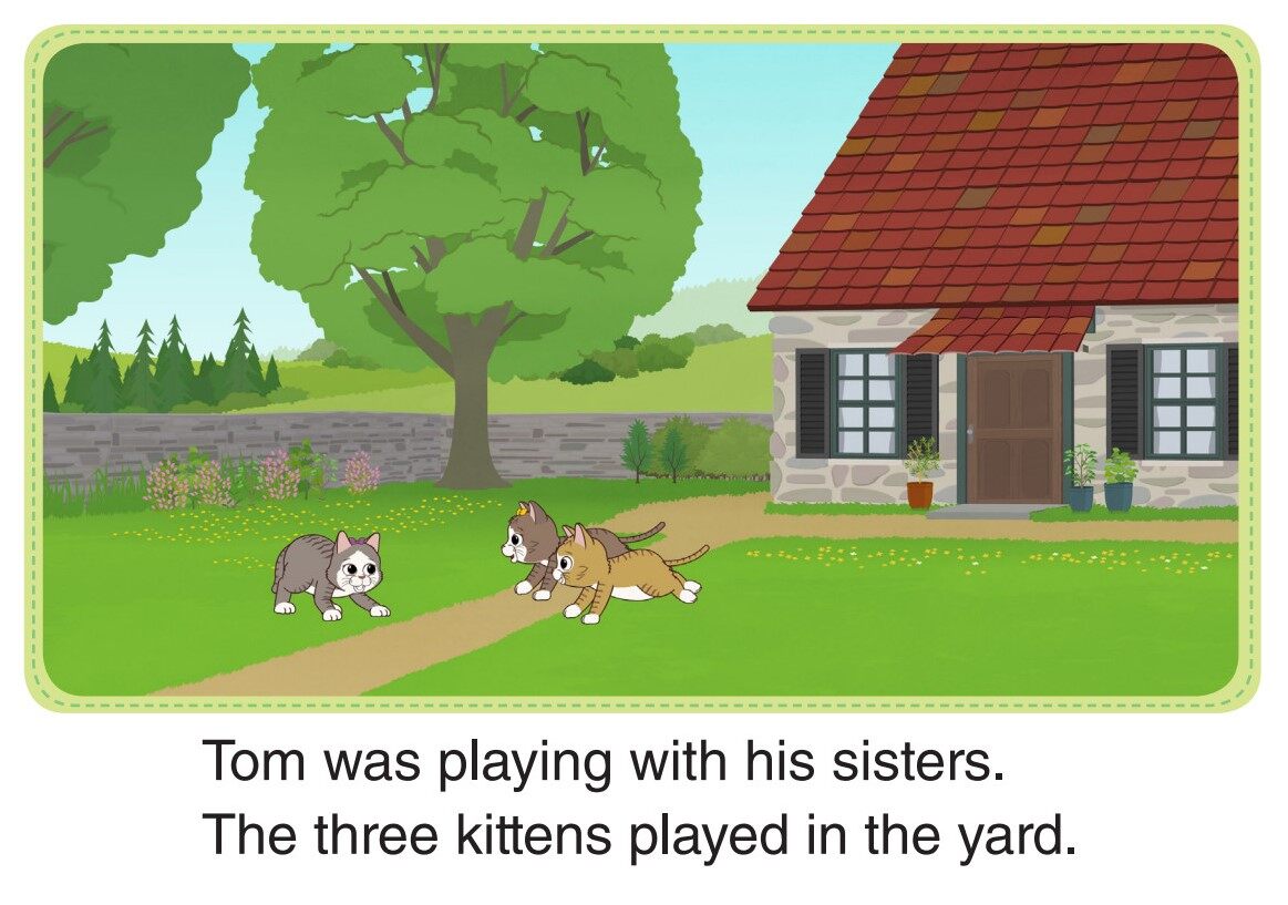 In the Box绘本故事第2页