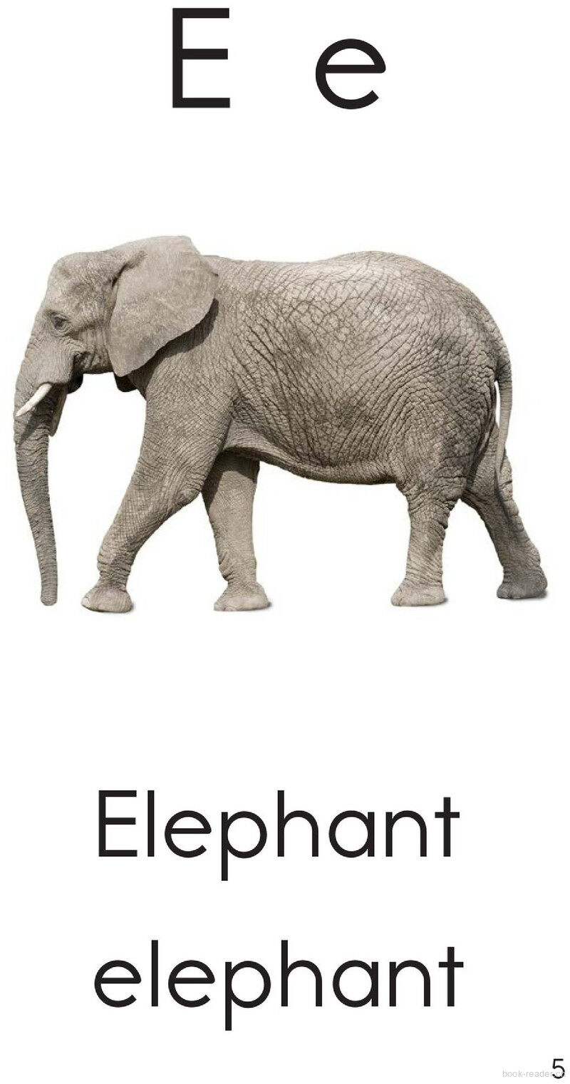 Letter E绘本故事第5页