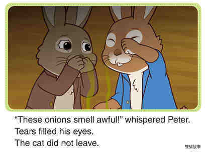 The Cat and the Basket绘本故事第3页