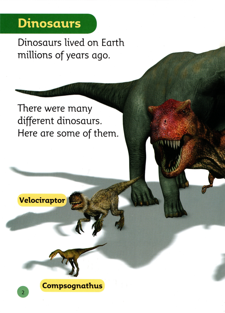 Top Dinosaurs绘本故事第3页