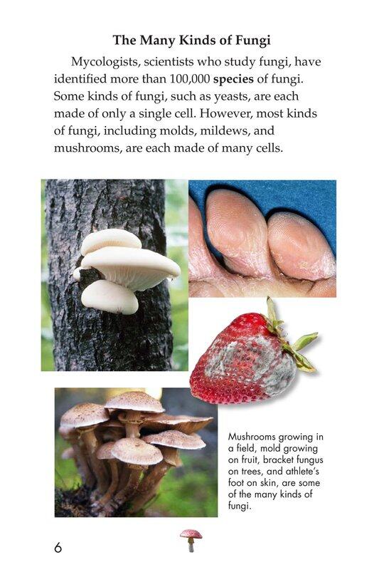 Fungus Among Us绘本故事第5页