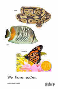 Animal Coverings绘本故事第3页