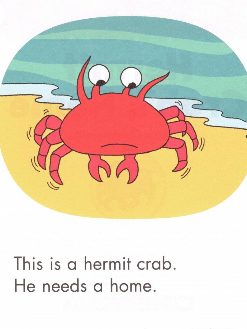 Hermit Crab's Home绘本故事第2页