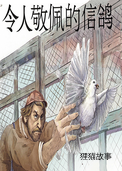 令人敬佩的信鸽