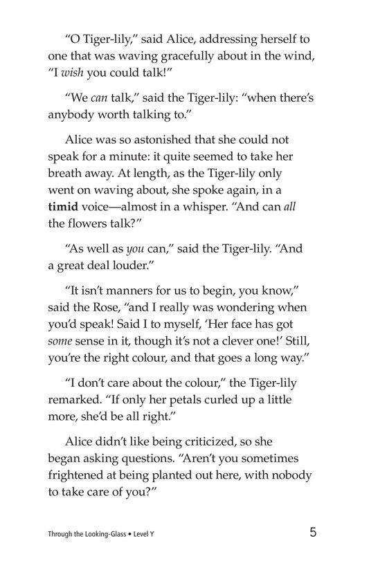 Through the Looking Glass (Part 2)绘本故事第5页