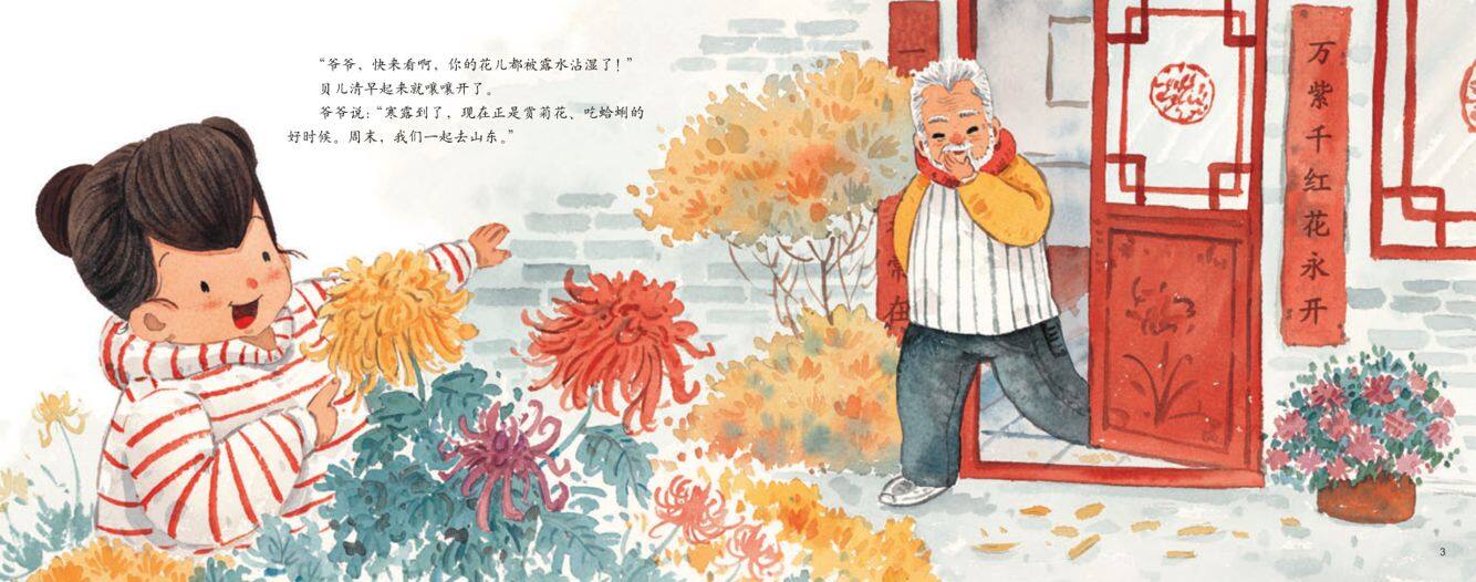 寒露·赏菊花绘本故事第3页