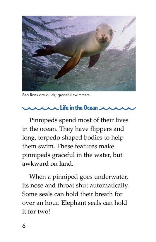 Seals,Sea Lions,and Walruses绘本故事第5页