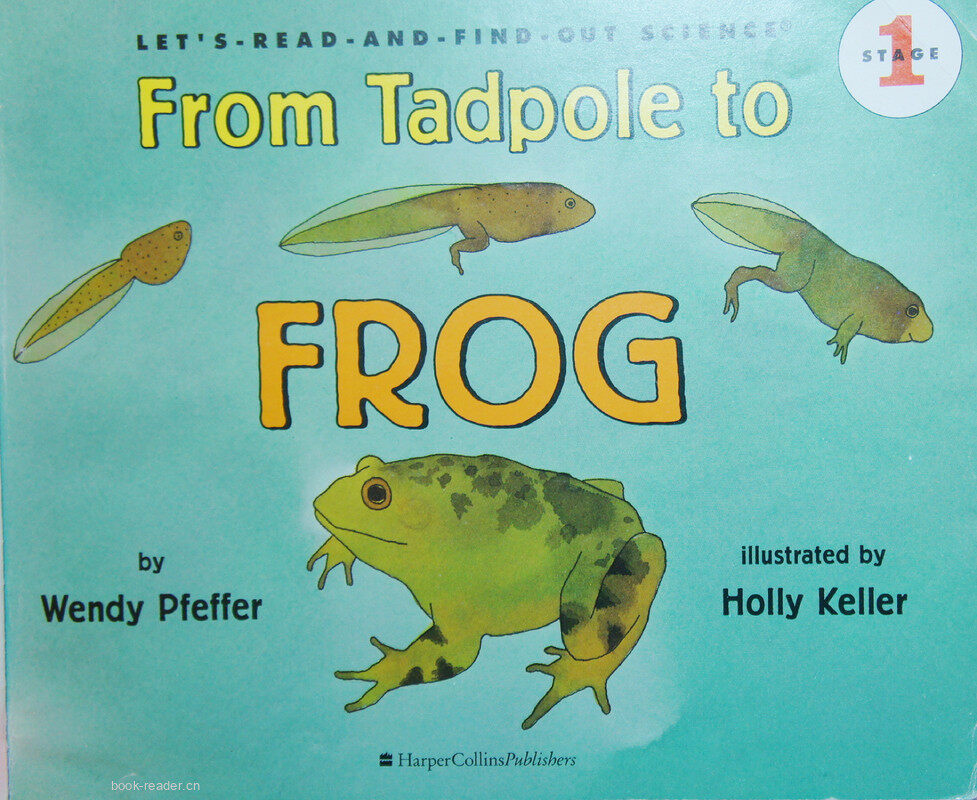 From Tadpole to FROG绘本故事第2页