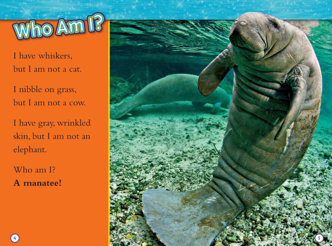 Manatees绘本故事第3页