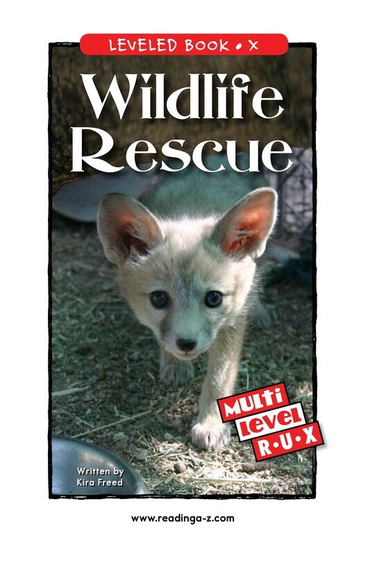 Wildlife Rescue绘本故事第2页