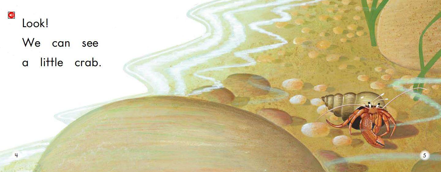 The Tide Pool绘本故事第4页