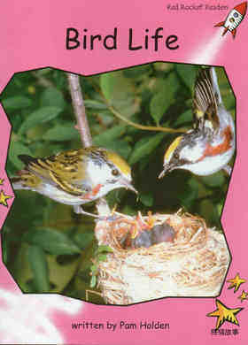 bird life