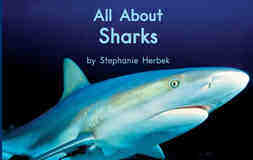 All About Sharks绘本故事第2页