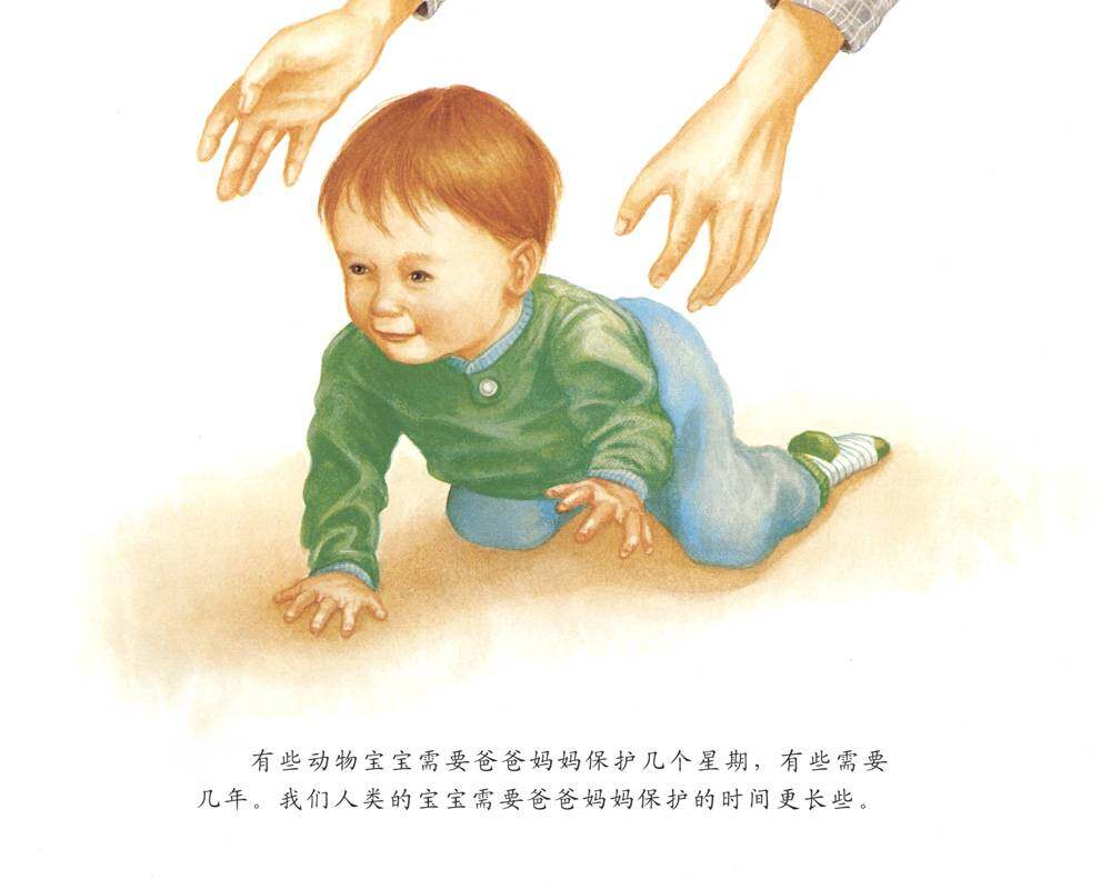 动物宝宝怎么保护自己绘本故事第4页