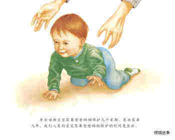 动物宝宝怎么保护自己绘本故事第4页