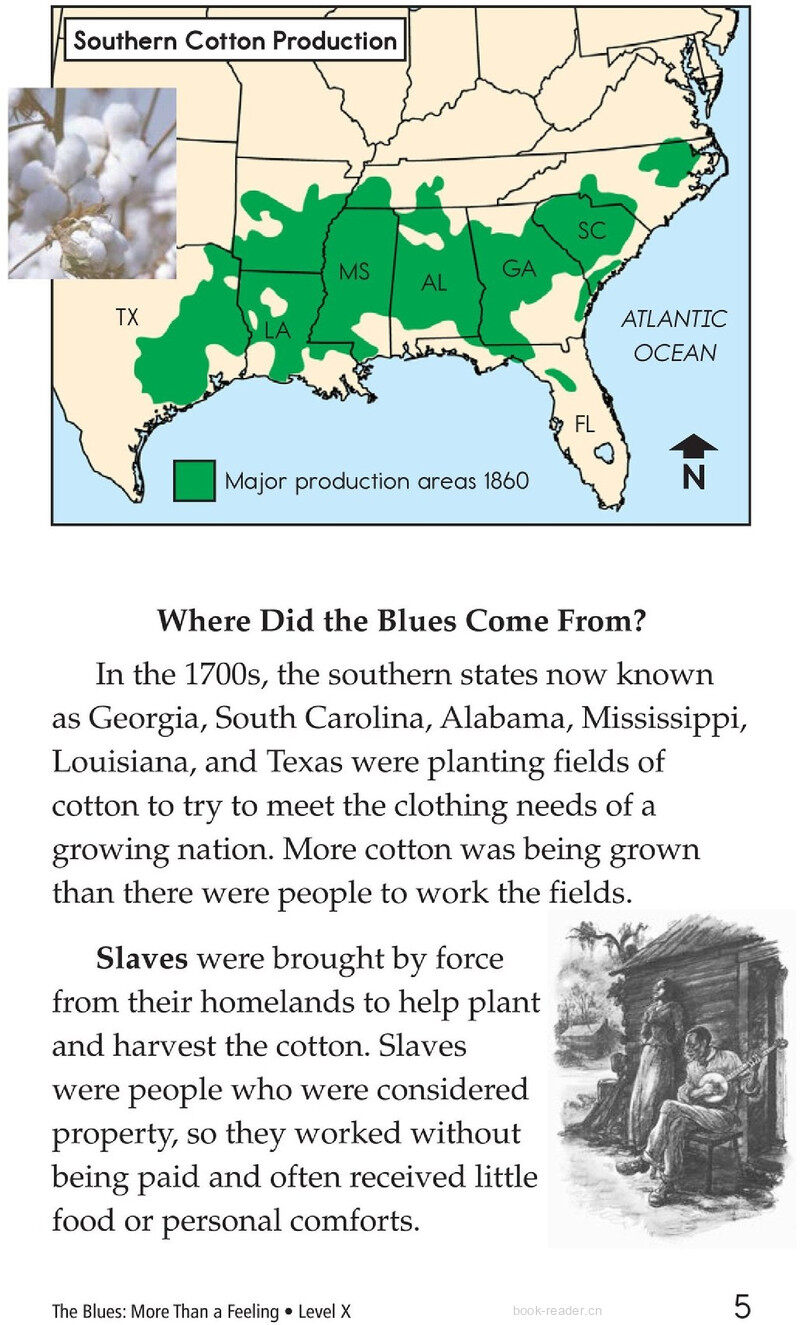 The Blues More Than A Feeling绘本故事第4页