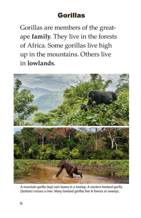 Gorillas绘本故事第3页